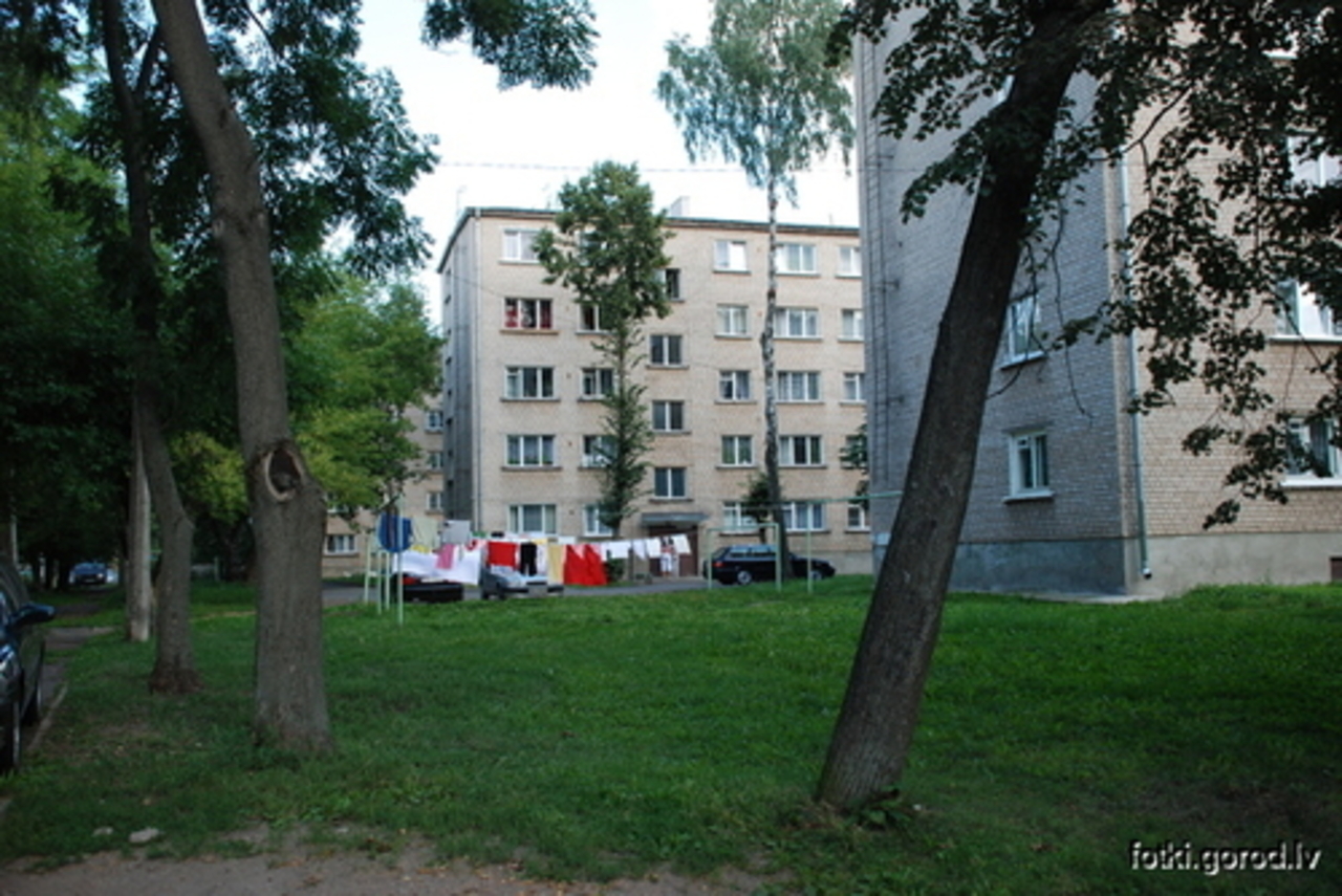Фото В. Цыганкова