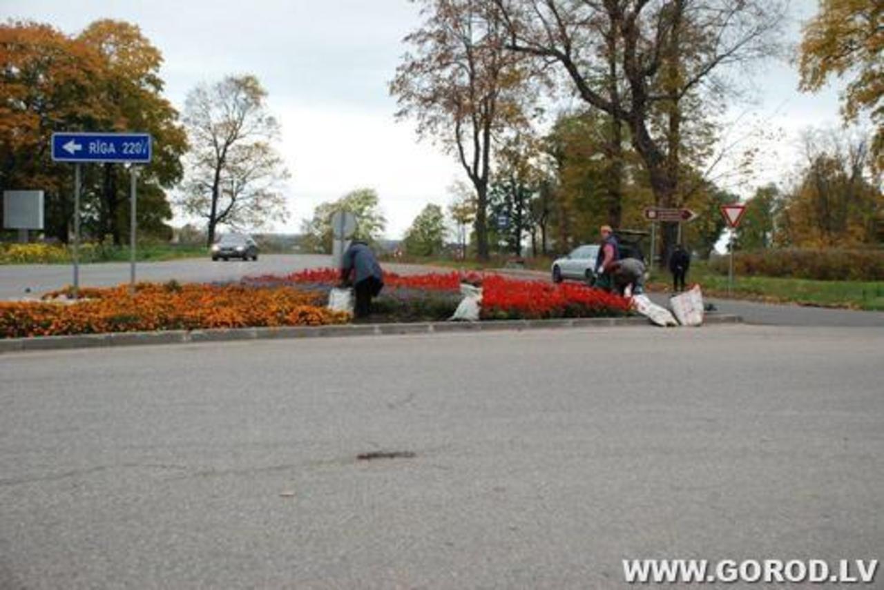 Фото В. Цыганкова