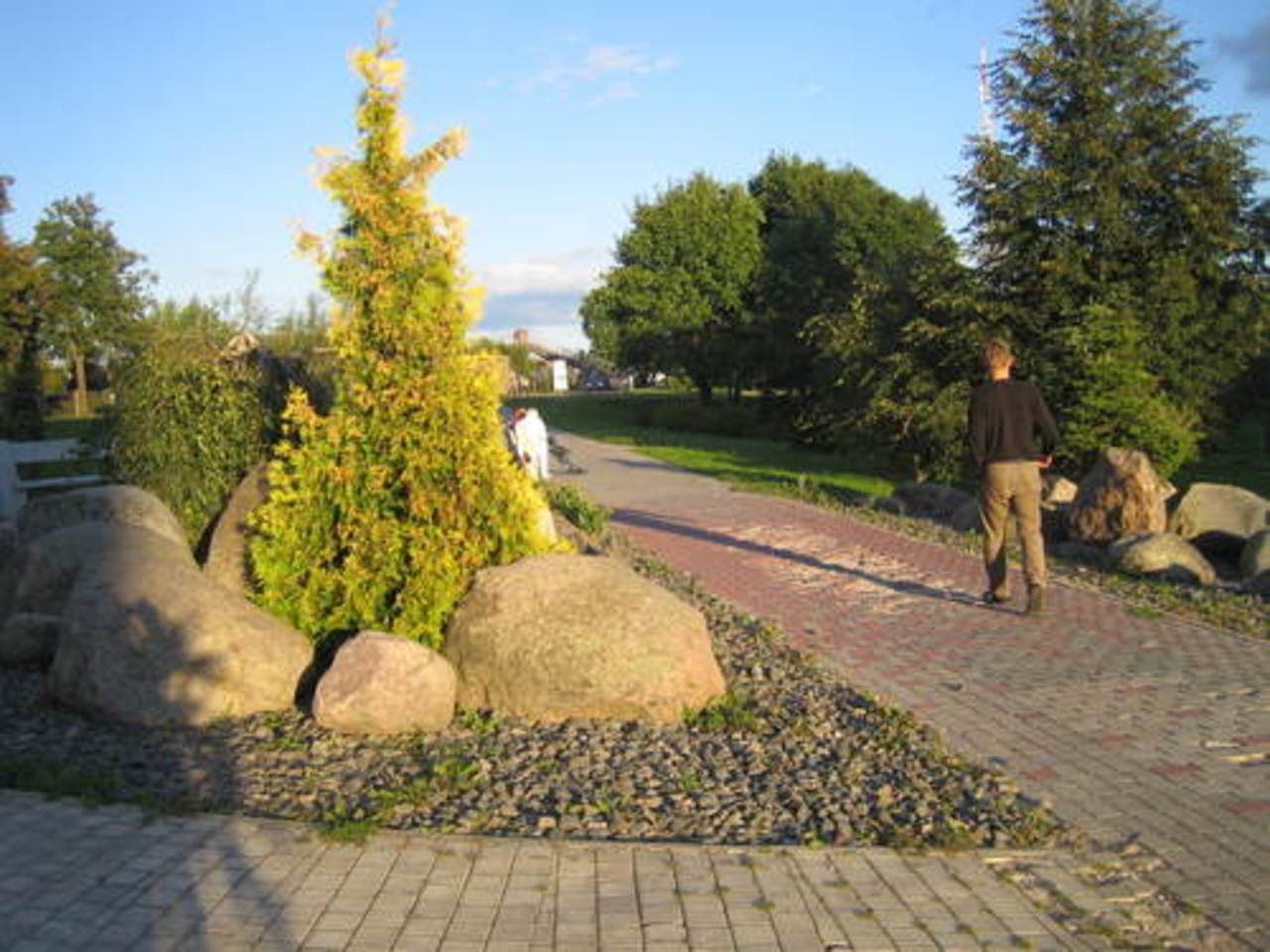 Фото В. Цыганкова