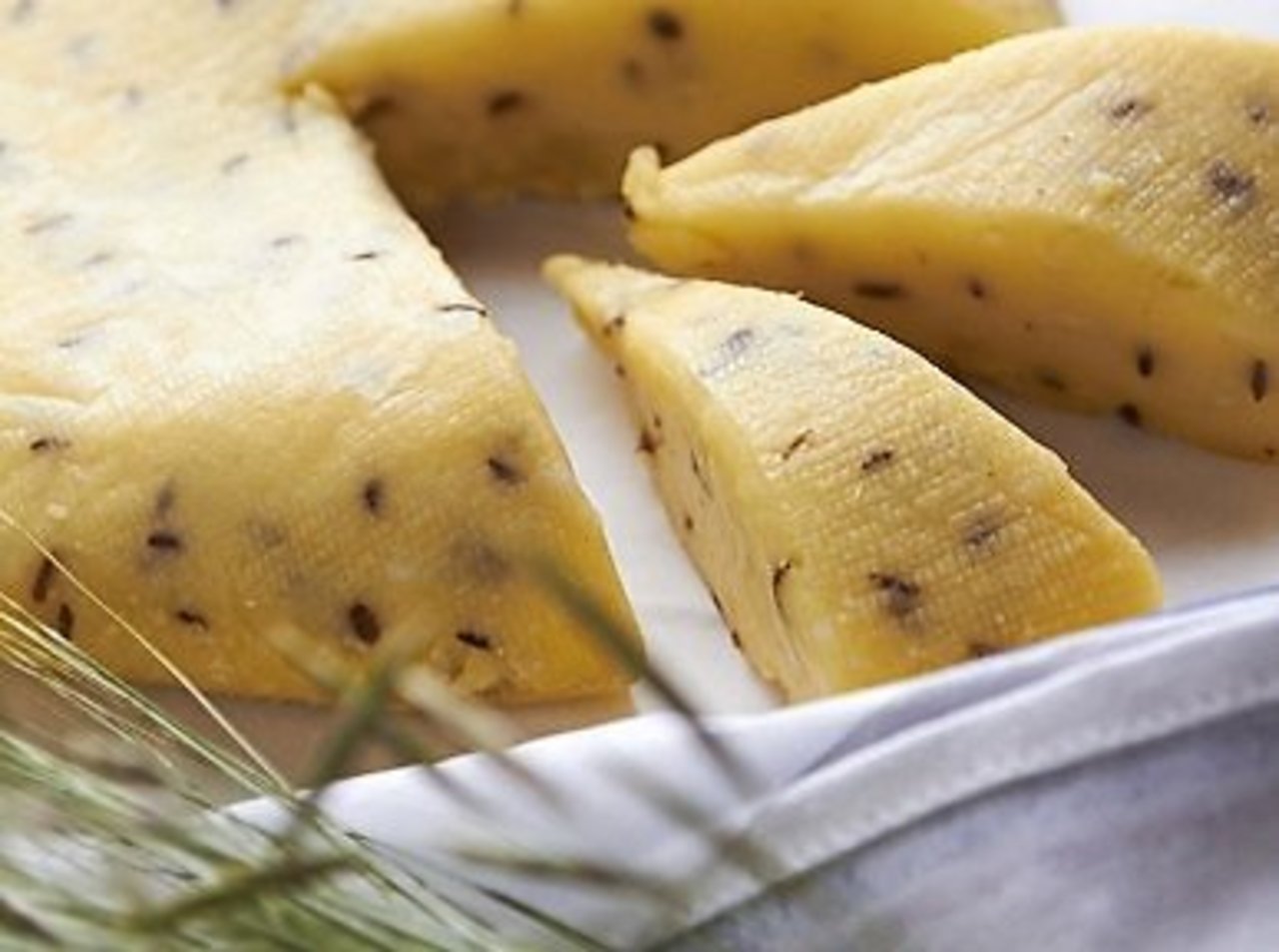Foto: ČetrasSezonas.lv