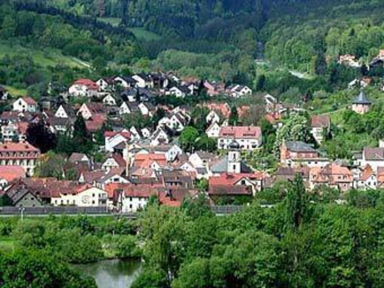 Вид на Лауденбах. Фото с сайта laudenbach-am-main.de