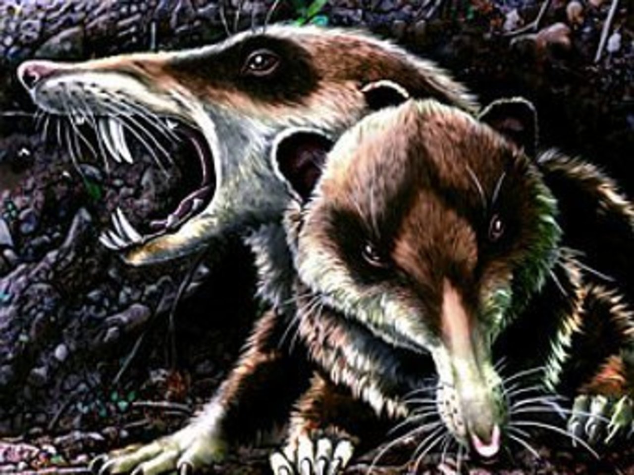 Предполагаемый внешний вид Cronopio dentiacutus. Иллюстрация Jorge Gonzalez/Guillermo Rougier