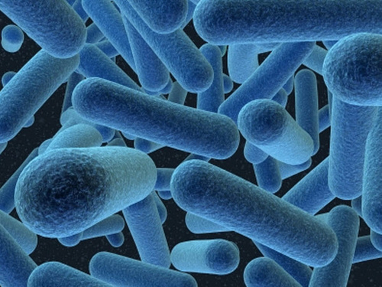 scienceblog.ru