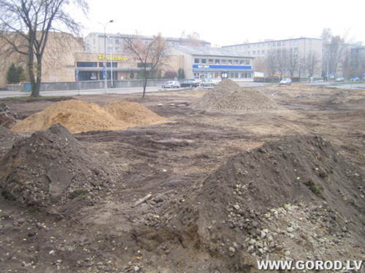 Фото В. Цыганкова
