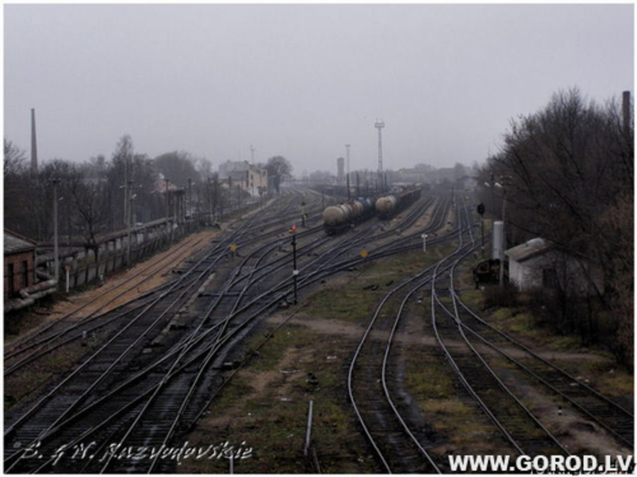 Фото В. Цыганкова