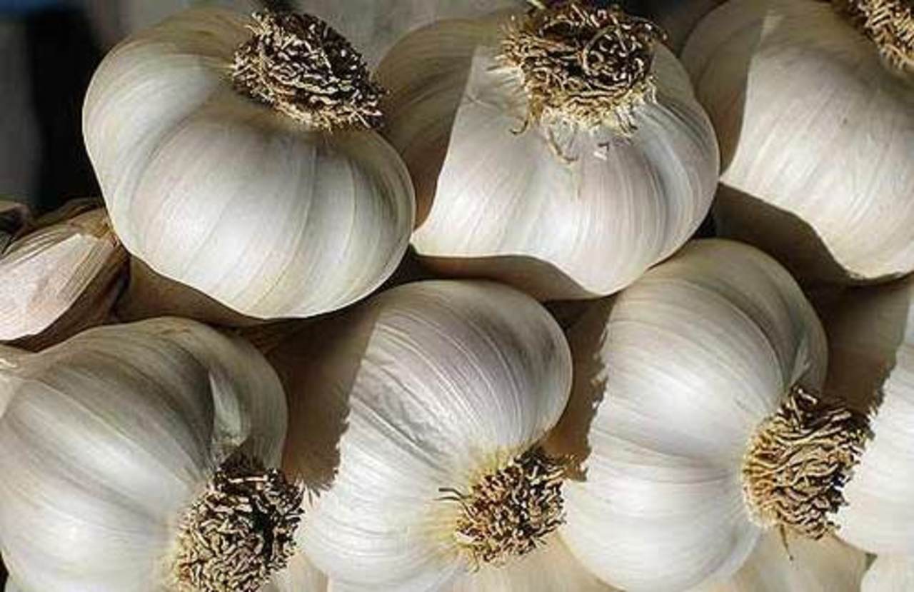 agroazbuka.com