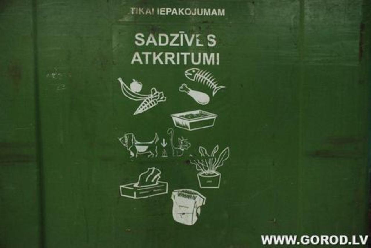 Фото В.Цыганкова