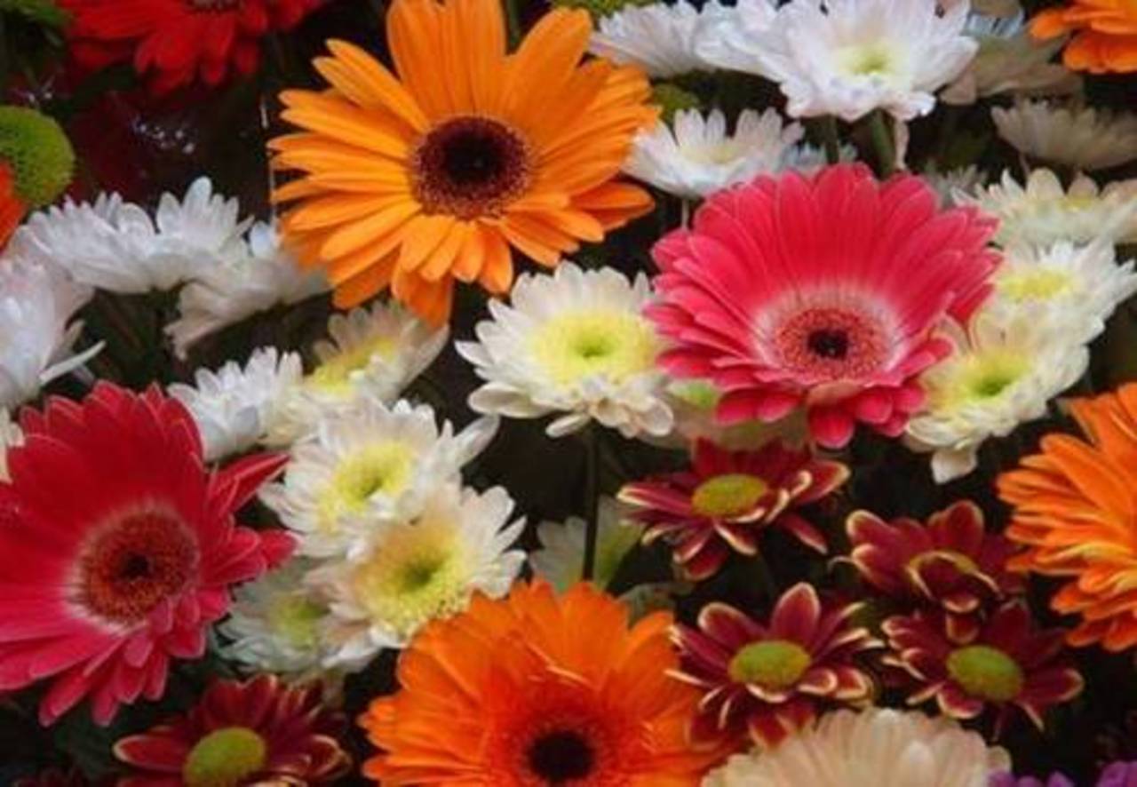 flowers-order.ru