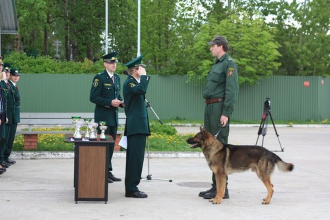 schaeferhund.lv