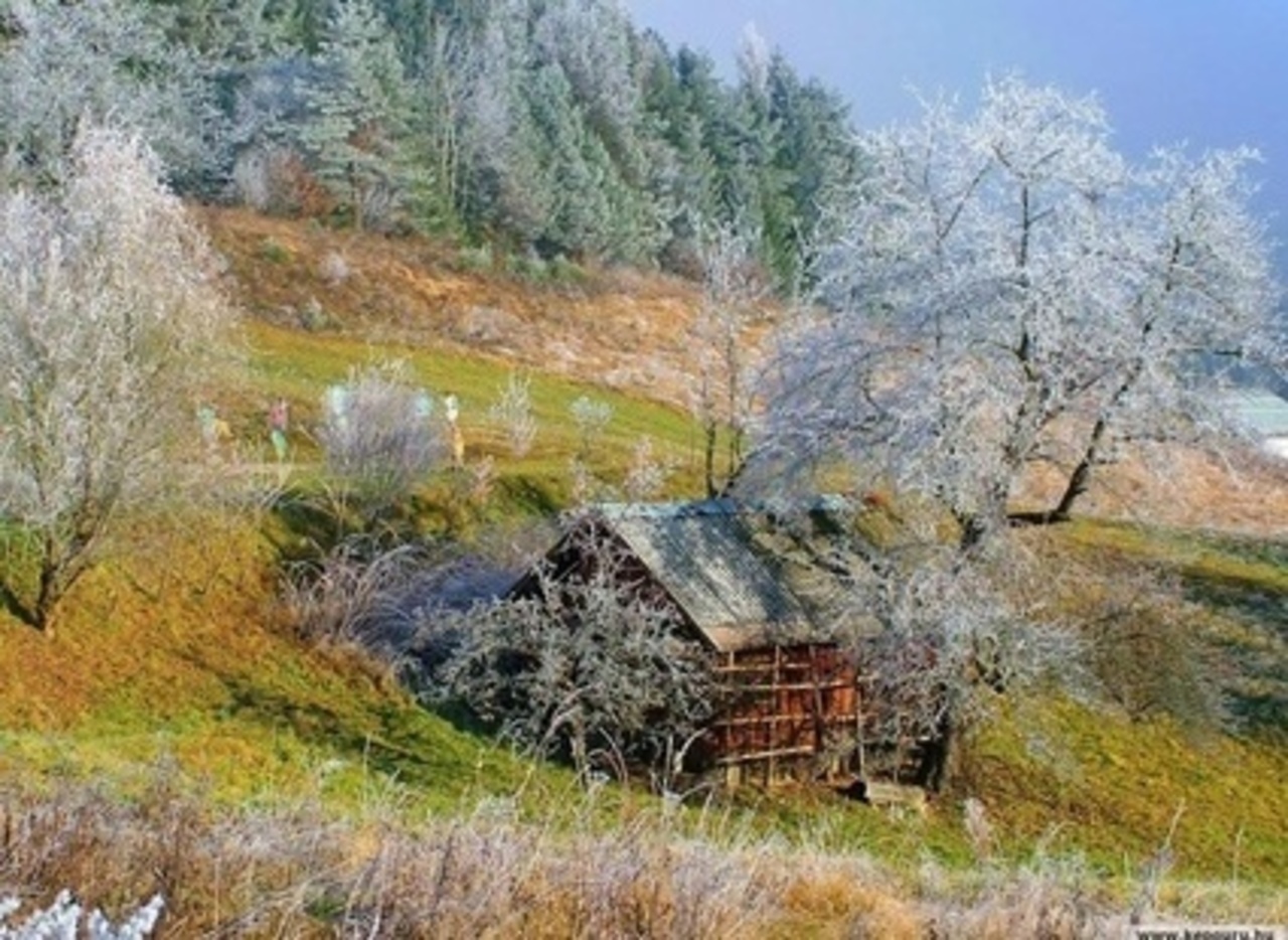 qip.ru
