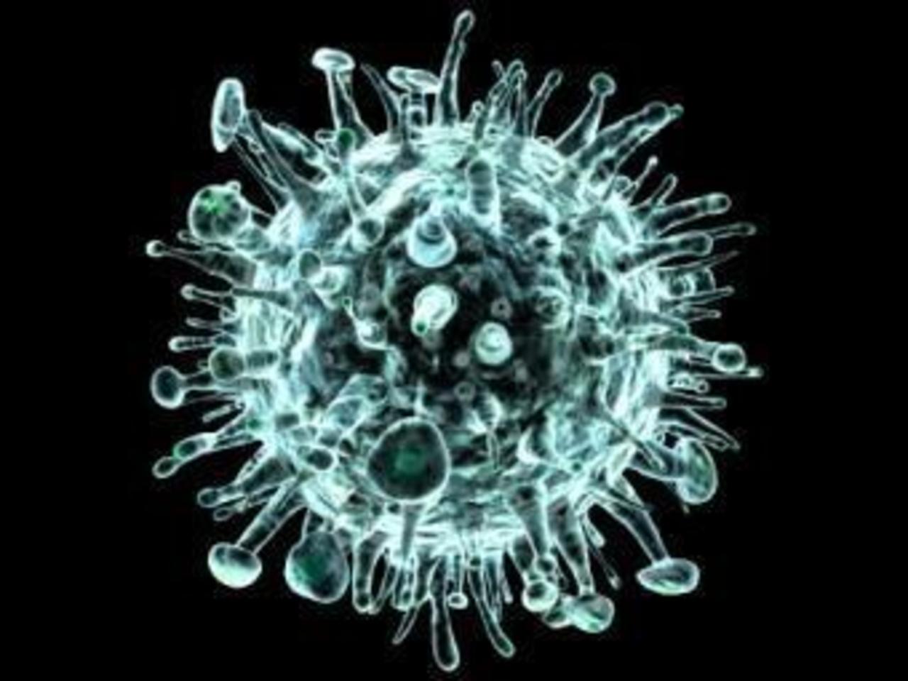 Вирус гриппа. Изображение с сайта healthmap.org
