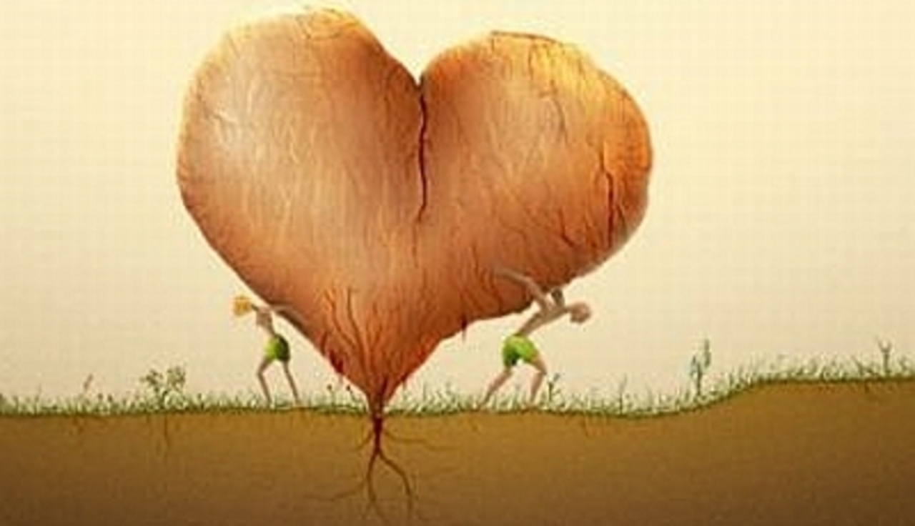 http://bt-lady.com.ua