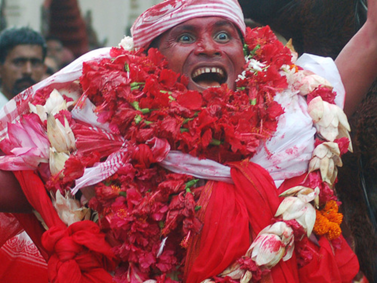 foto newsru.com