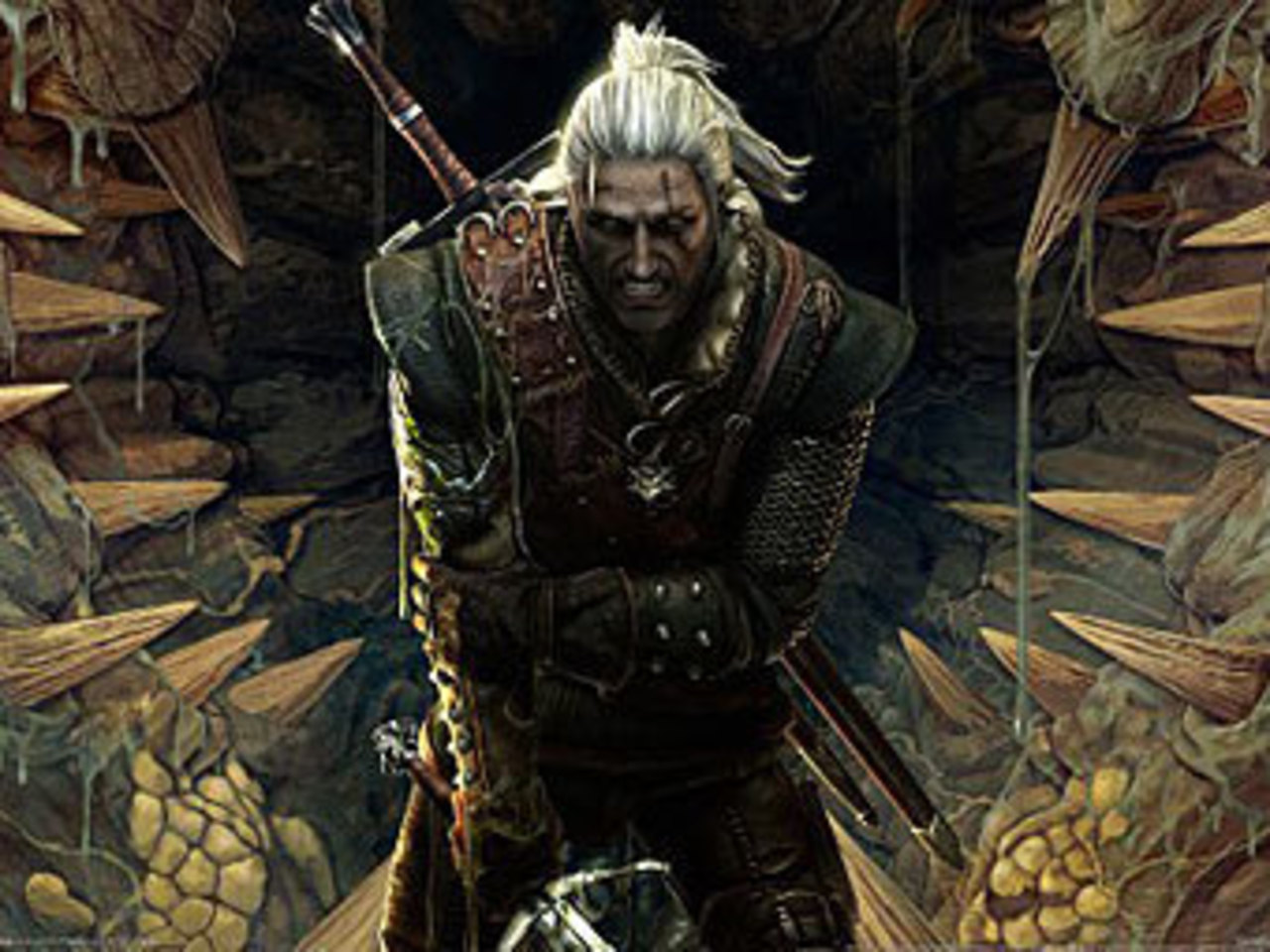Скриншот Witcher 2