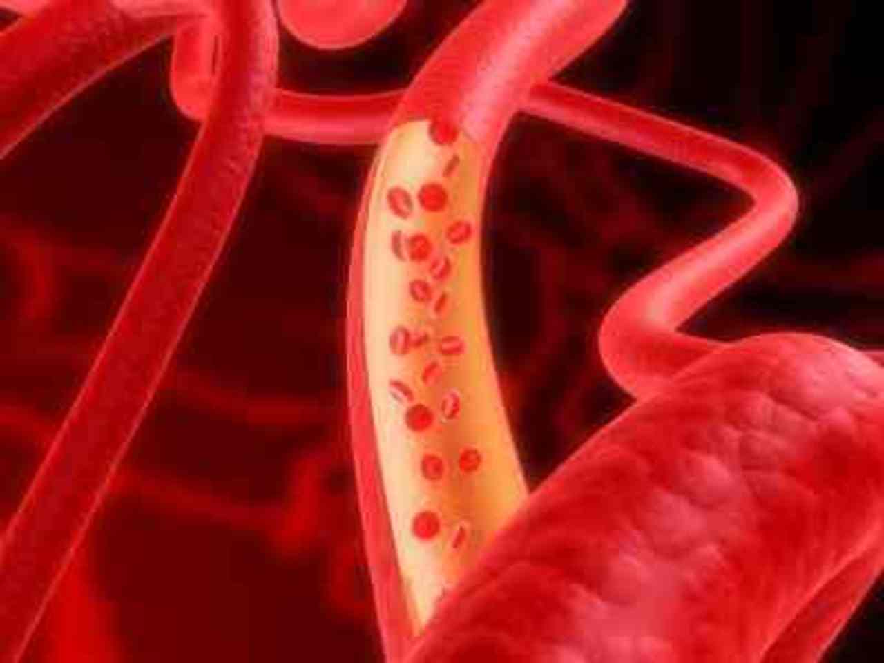 anatomhuman.com