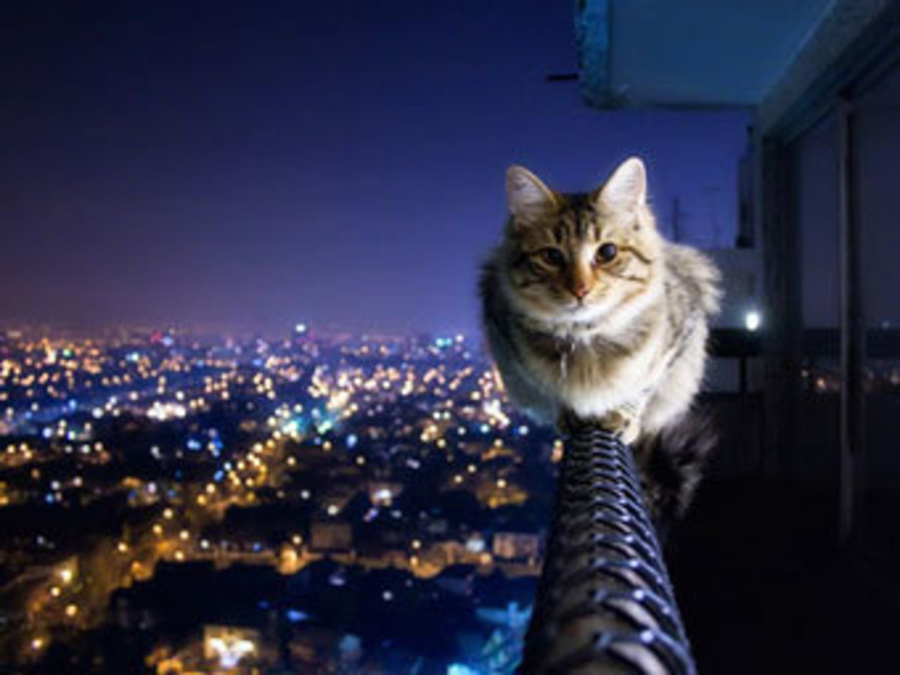 Фото с сайта kuwaitful.com