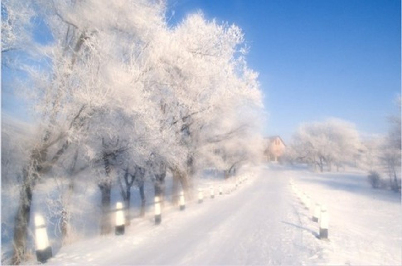 фото segodnya.ua