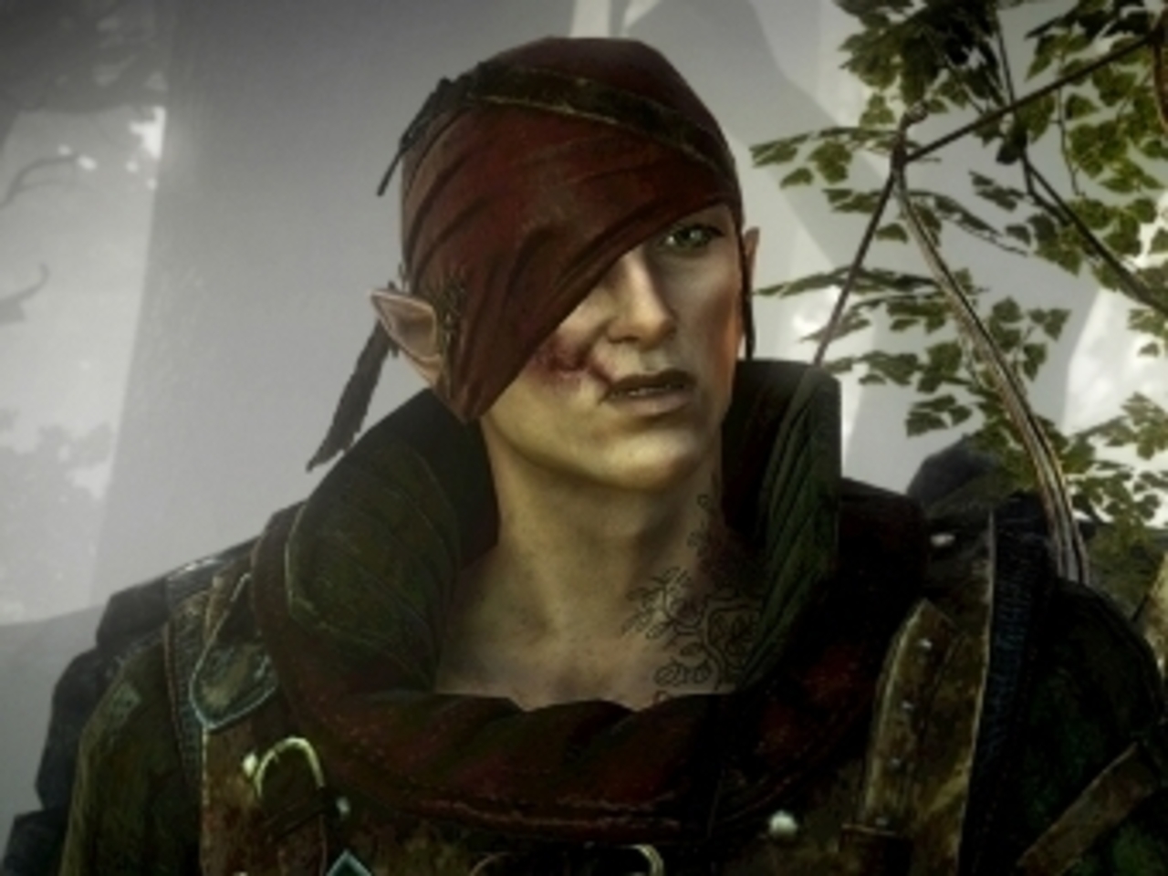 Скриншот Witcher 2