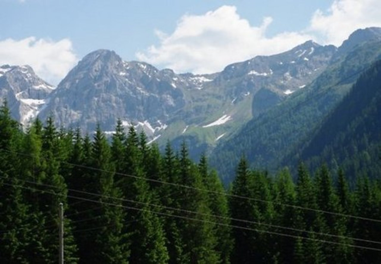 alnisg