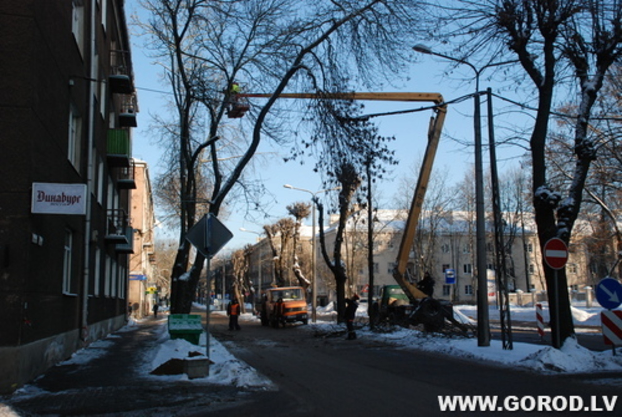фото В. Цыганкова