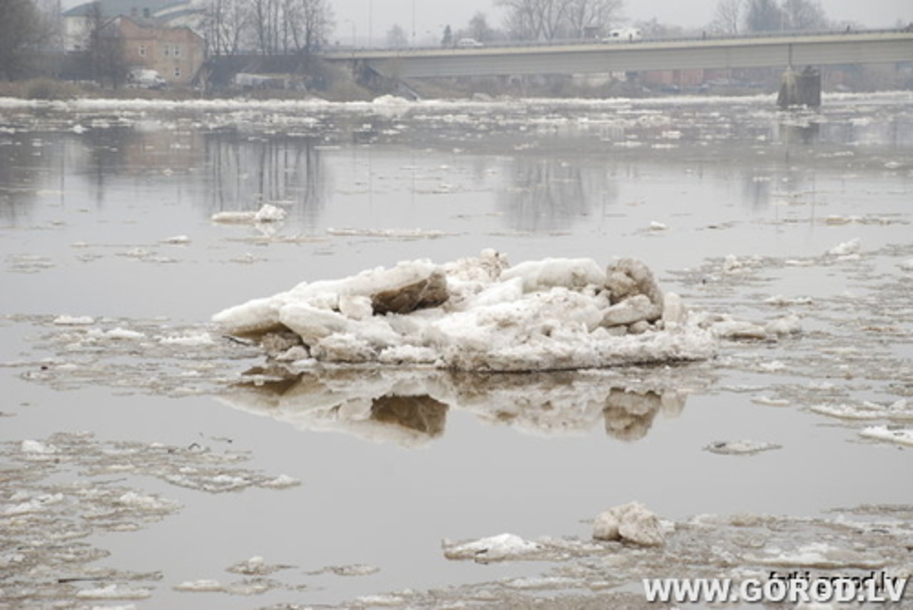Фото В. Цыганкова