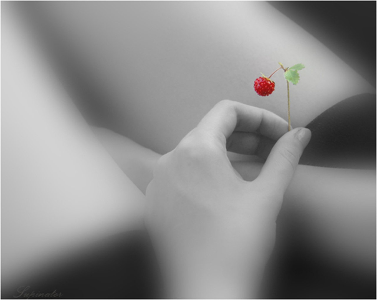 womens-view.ru