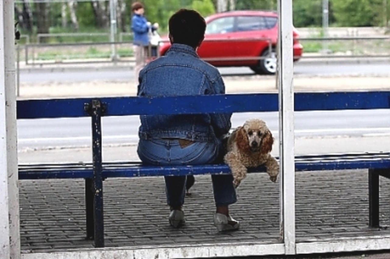 foto ekonomika.lv