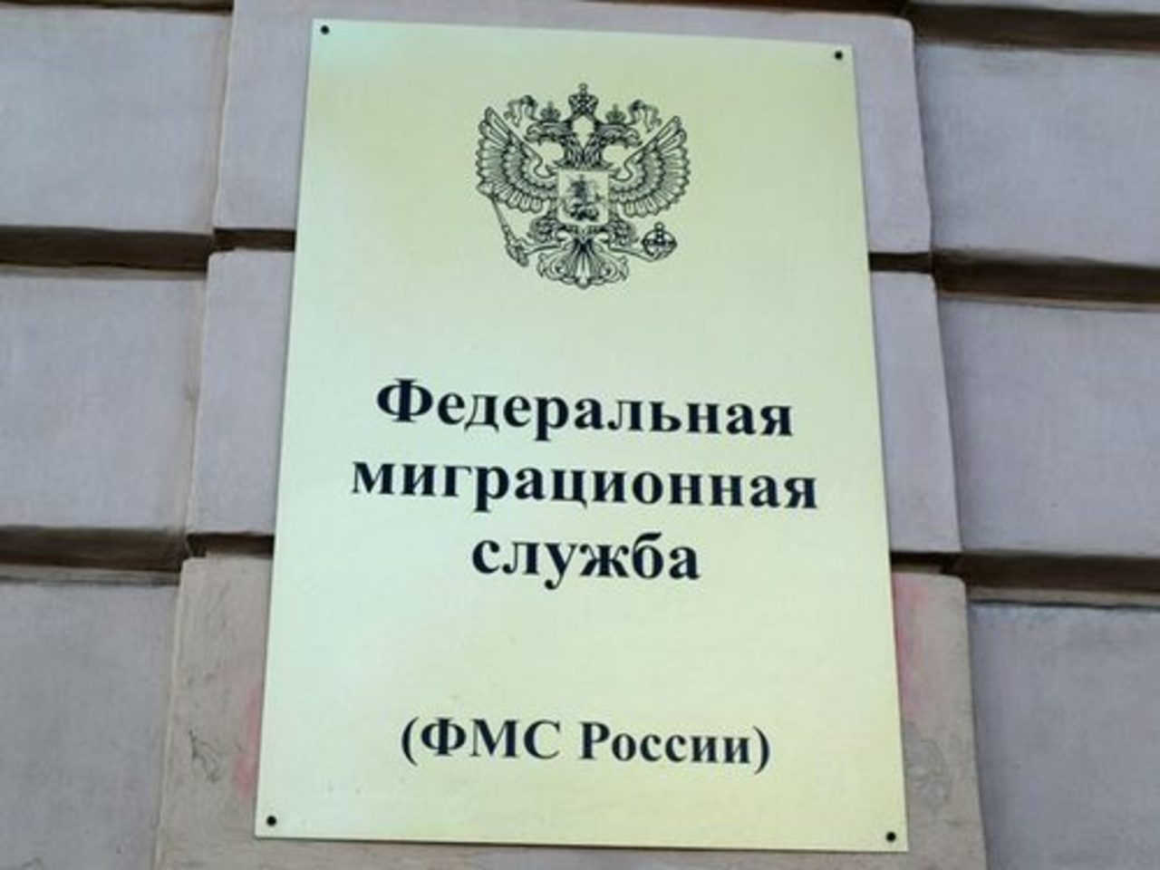 фото Moscow-Live.ru