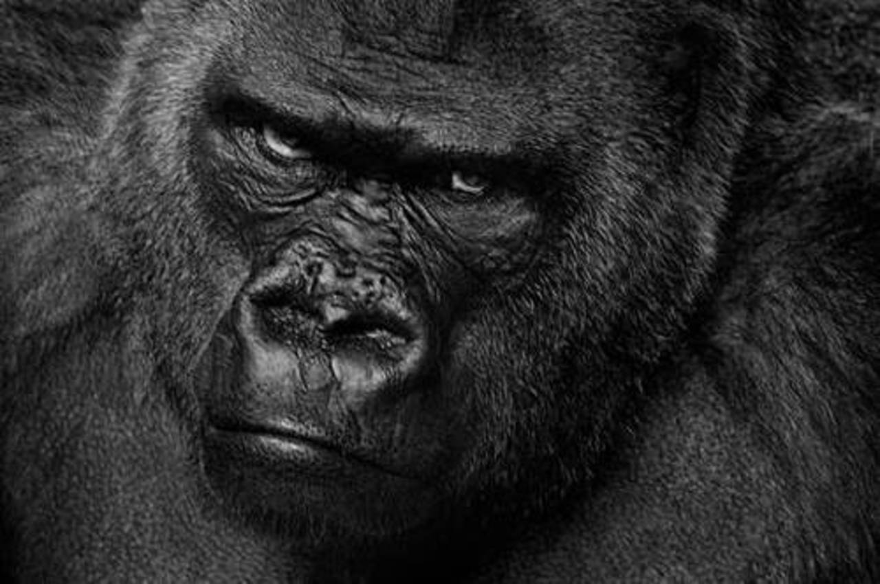 фото funnypicture.zoda.ru