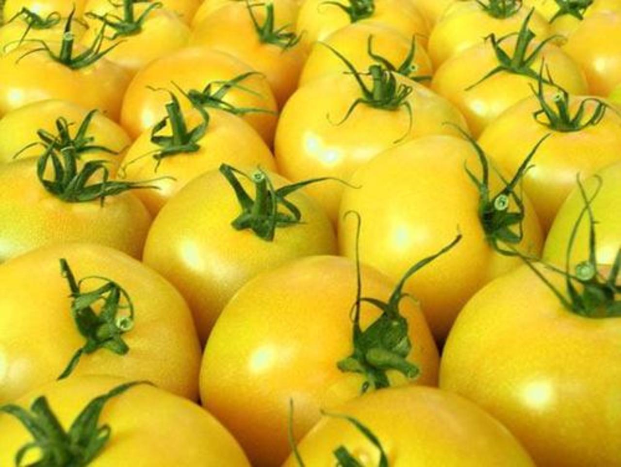 yellowinform.ru