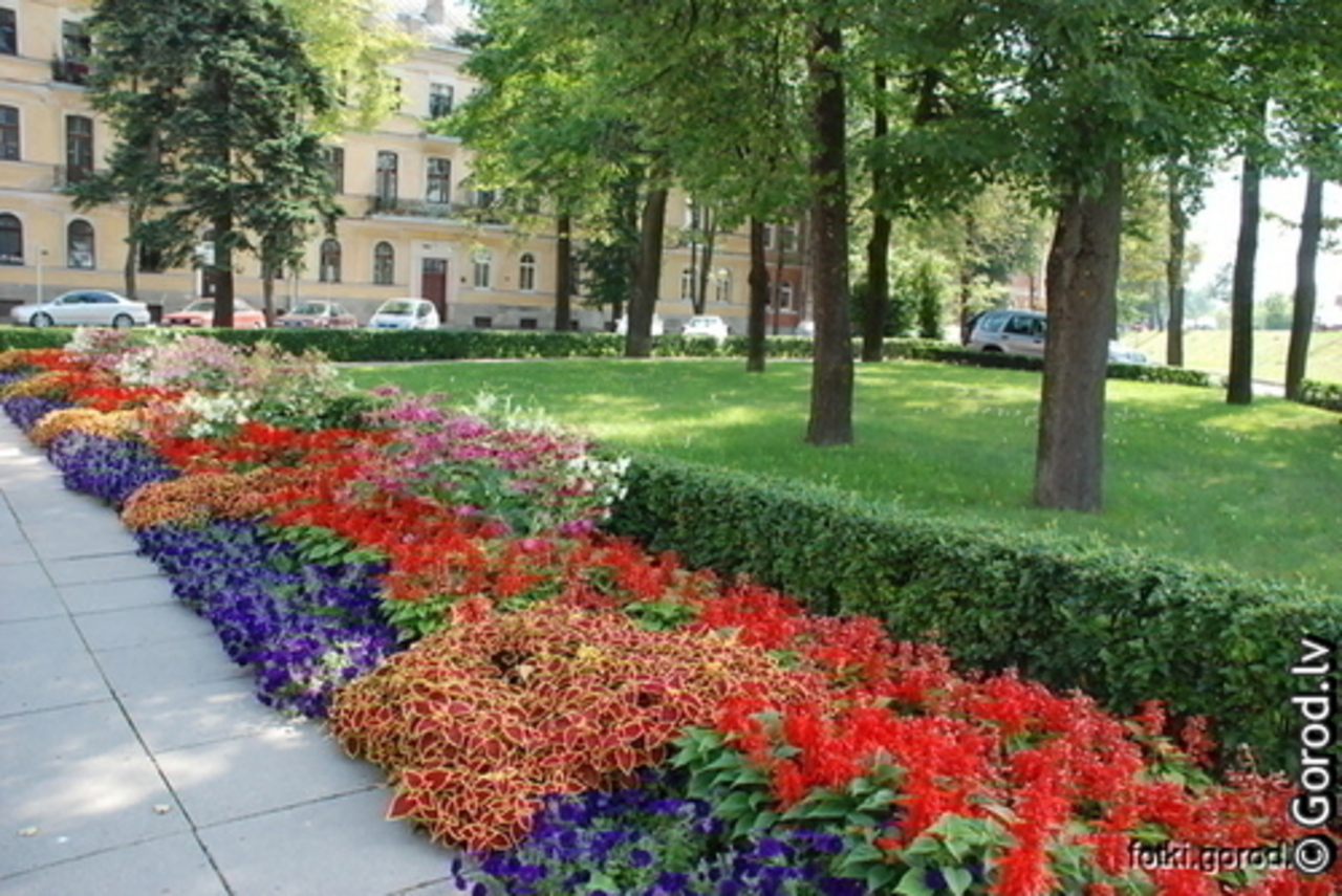 foto gorod.lv