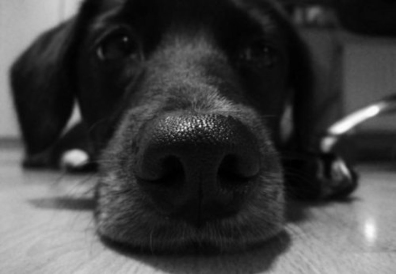 foto delfi.lv