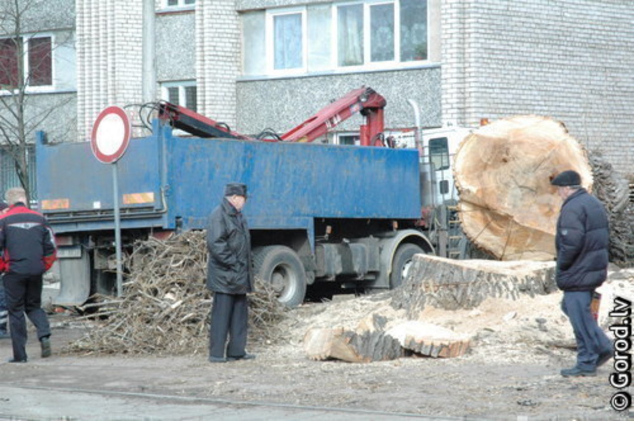 фото gorod.lv