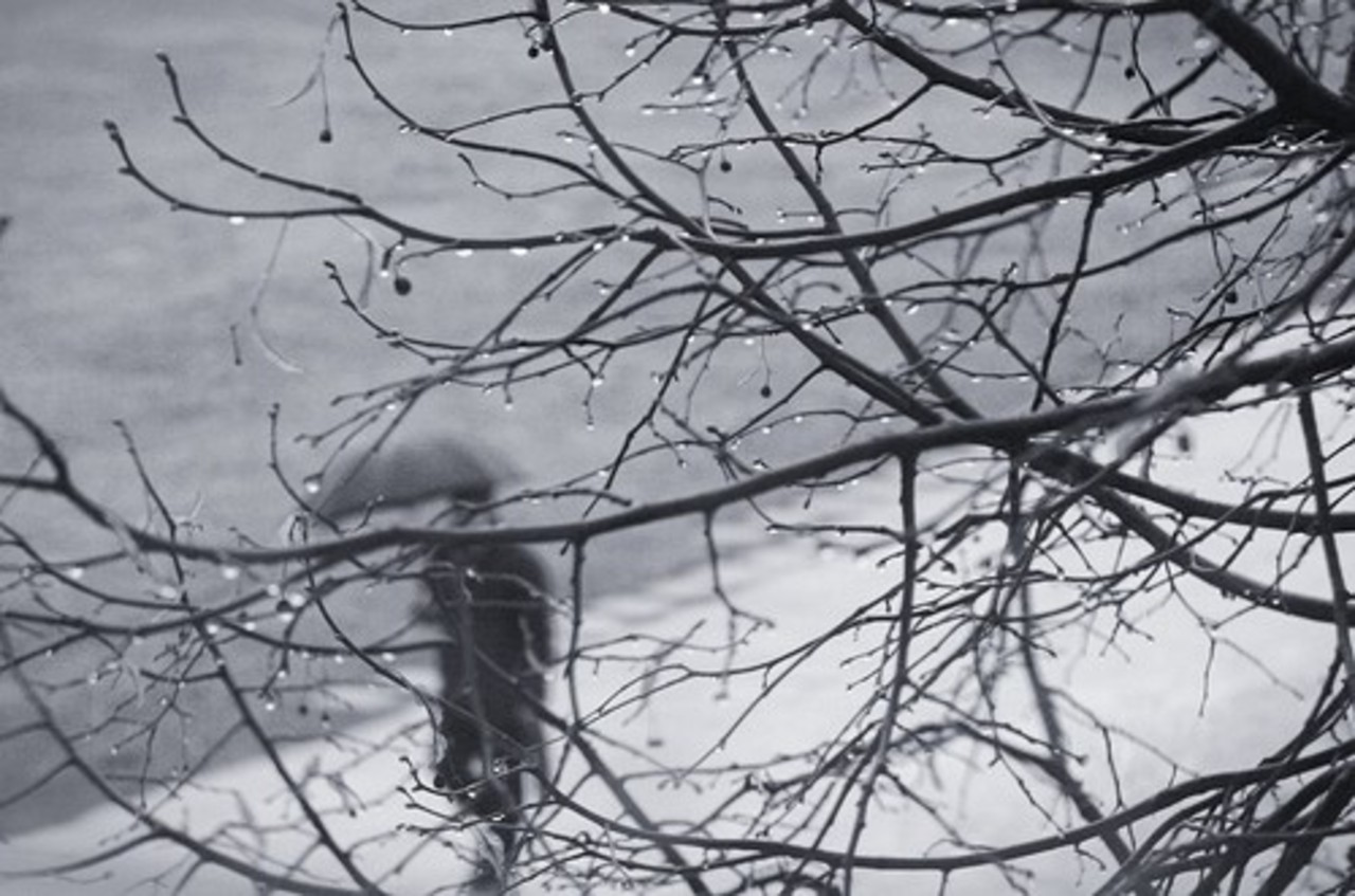 photoclub.by