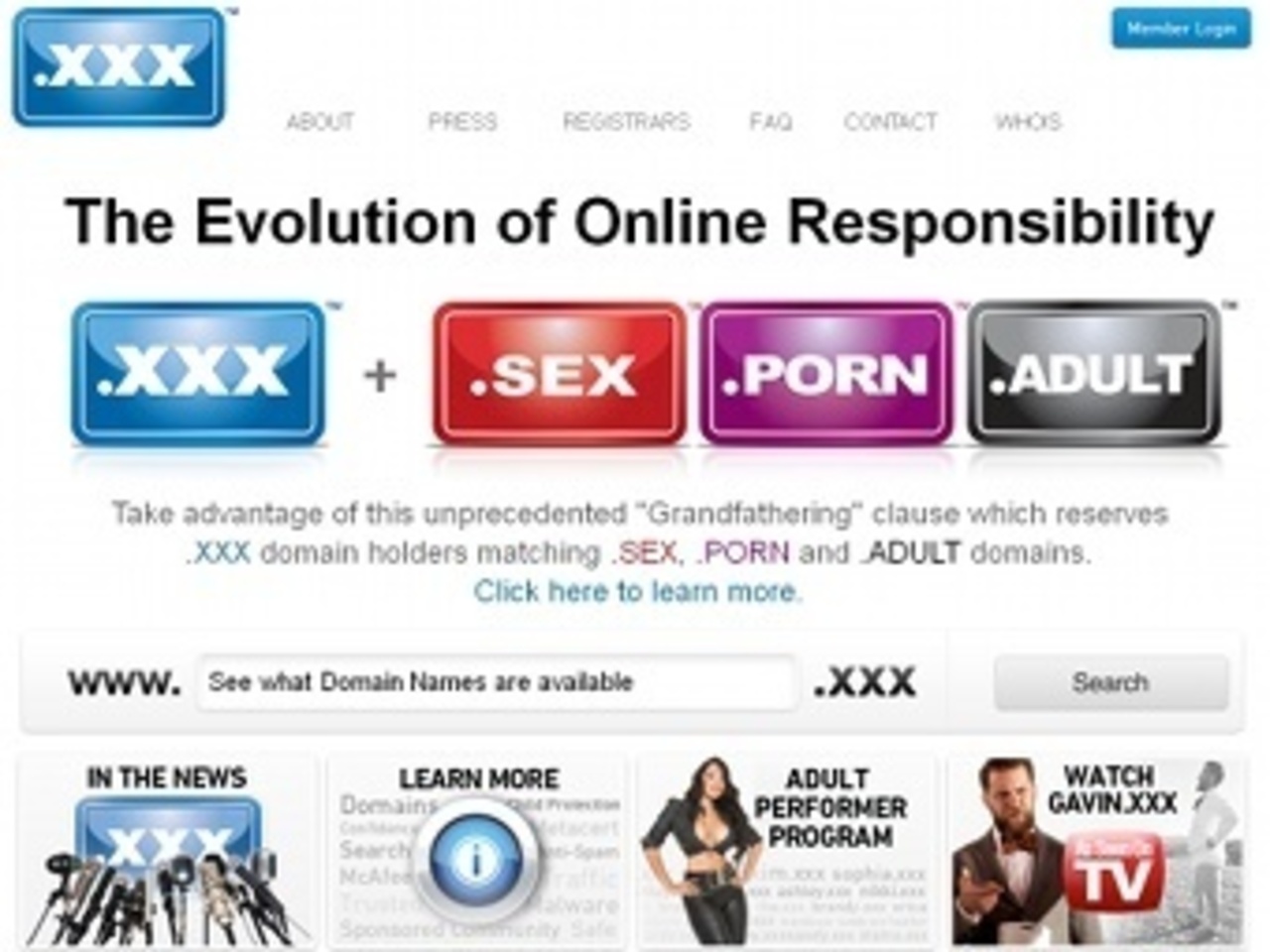 Скриншот сайта icmregistry.com