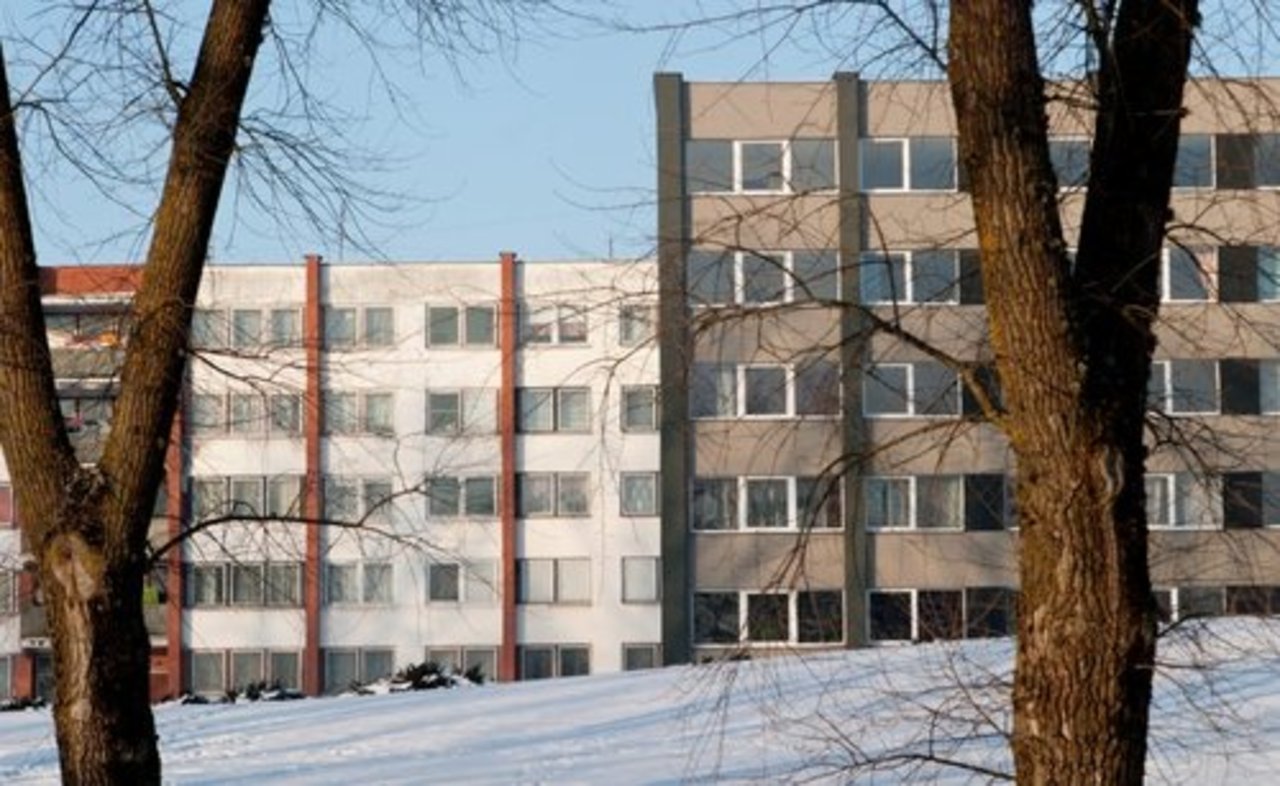 фото DELFI (V.Kopūsto nuotr.)