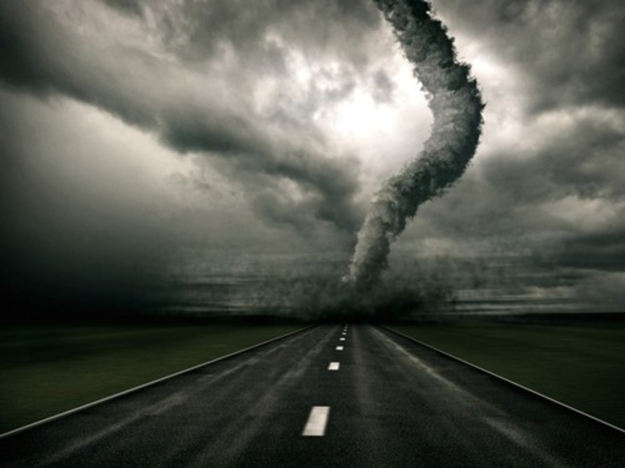 фото catomania.ru
