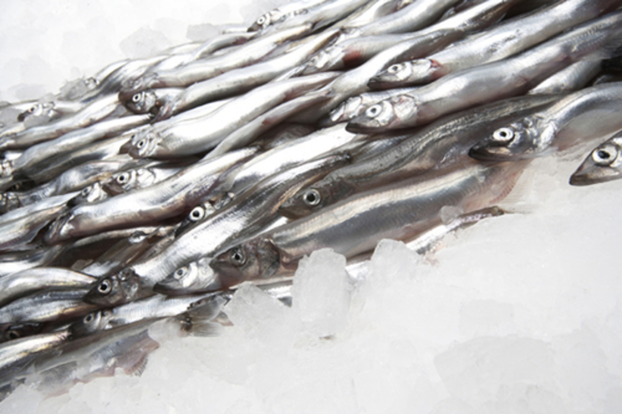 foto fishretail.ru