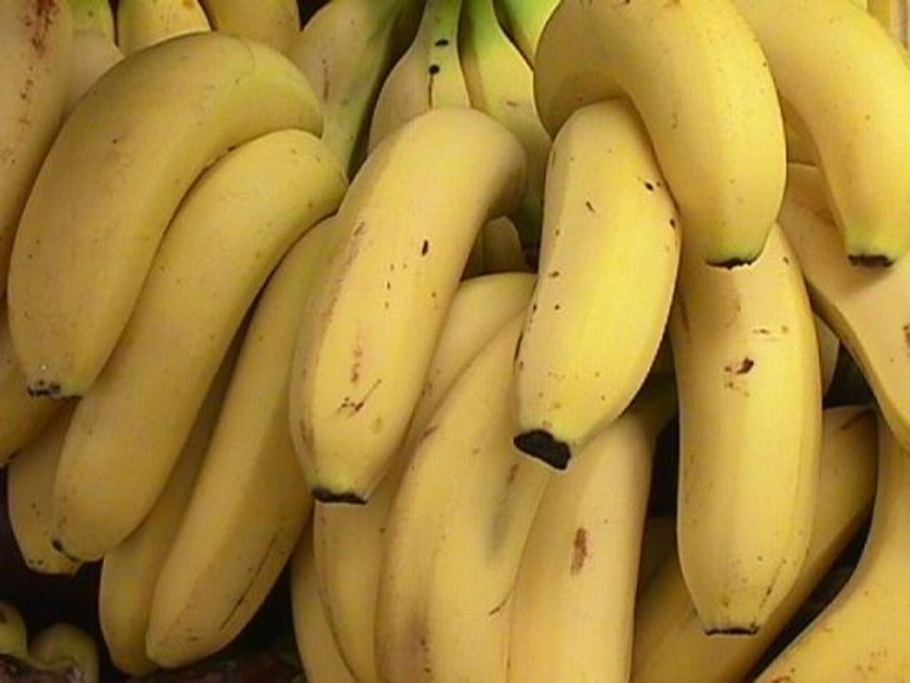 foto useful-banana.blogspot.com