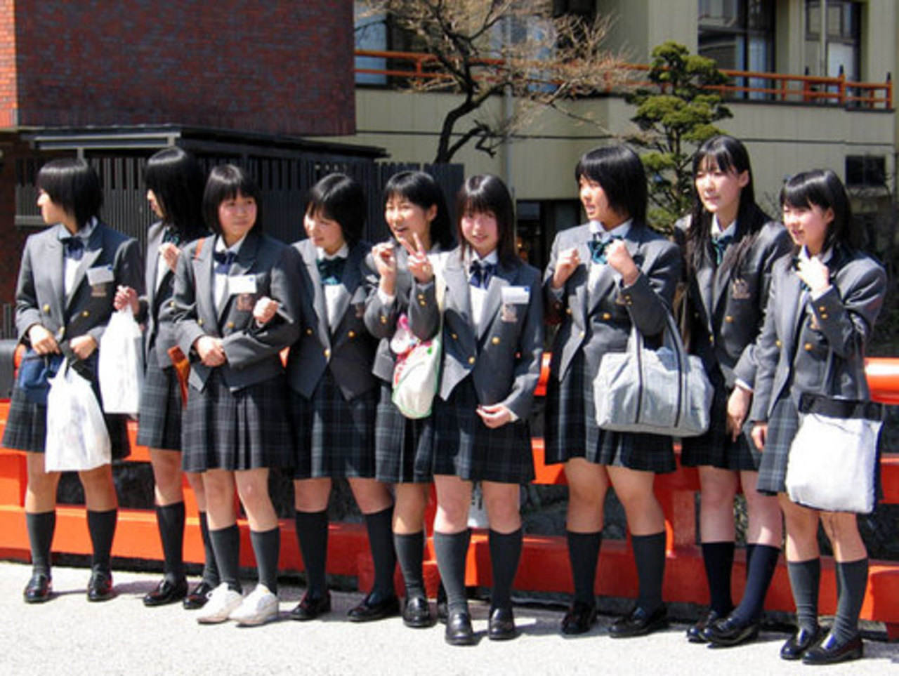 foto tofugu.com