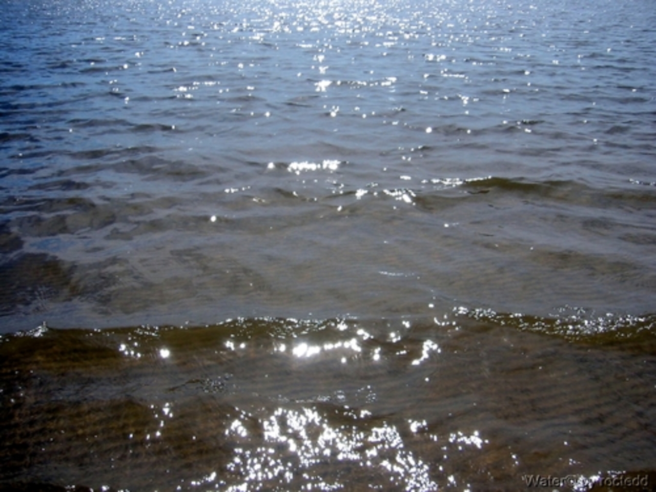 foto vaagelaw.com