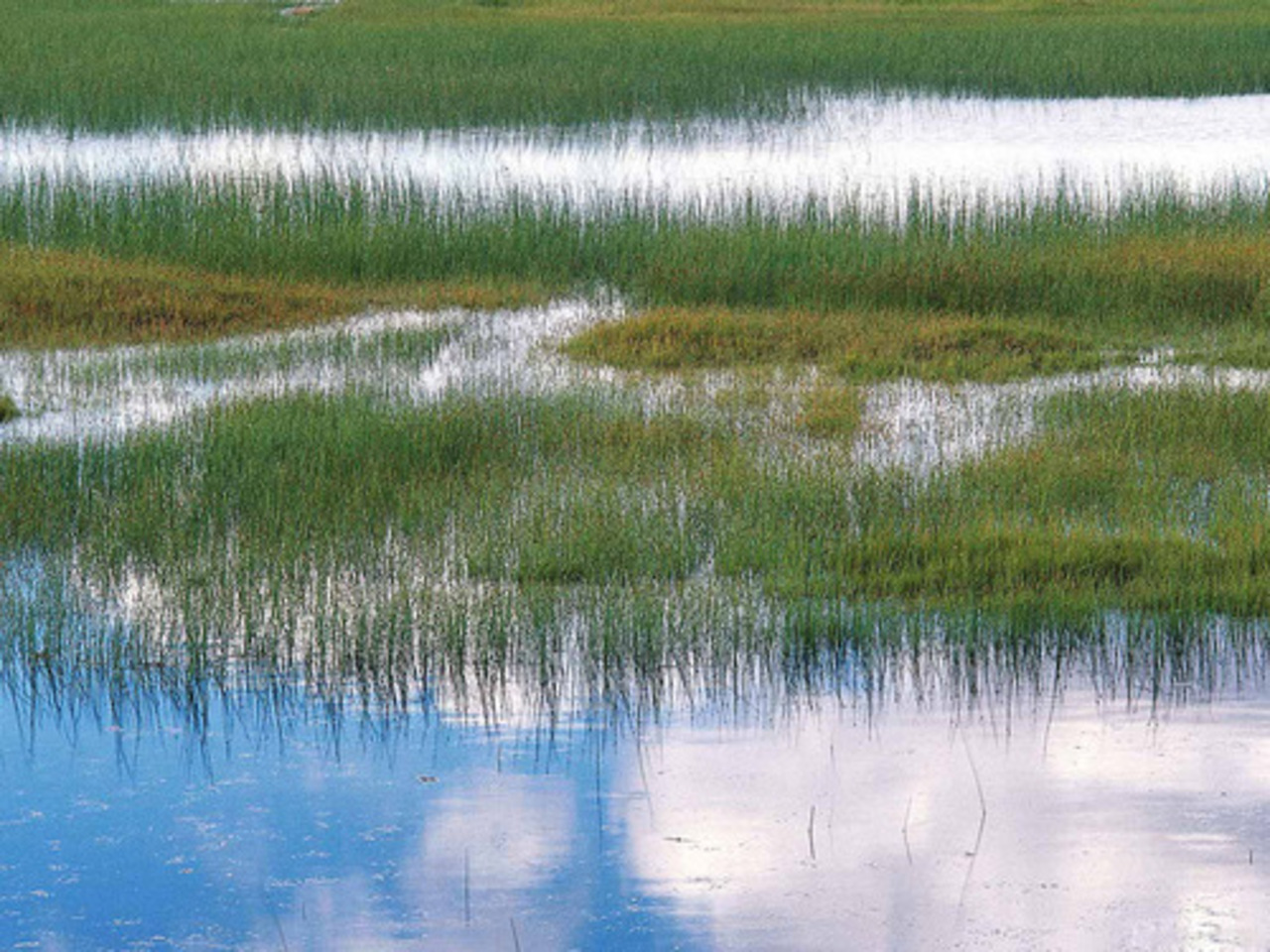 фото wallpaper.zoda.ru