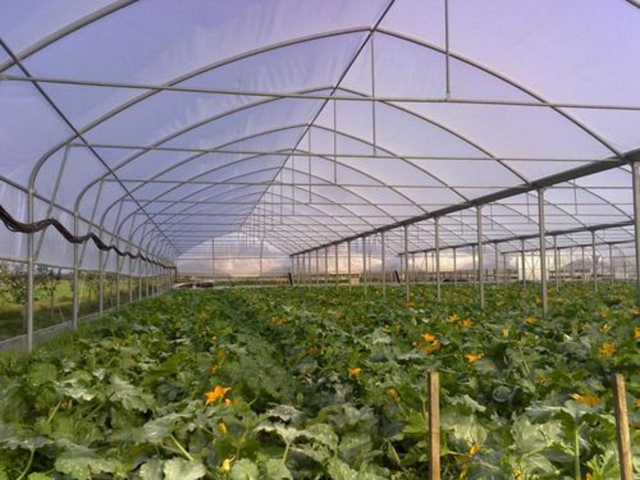 фото agrotechno.ru