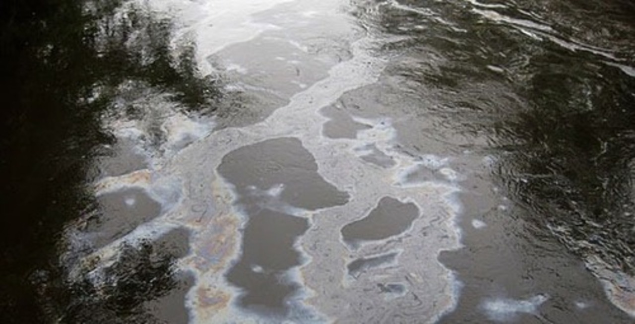 foto lakescientist.com