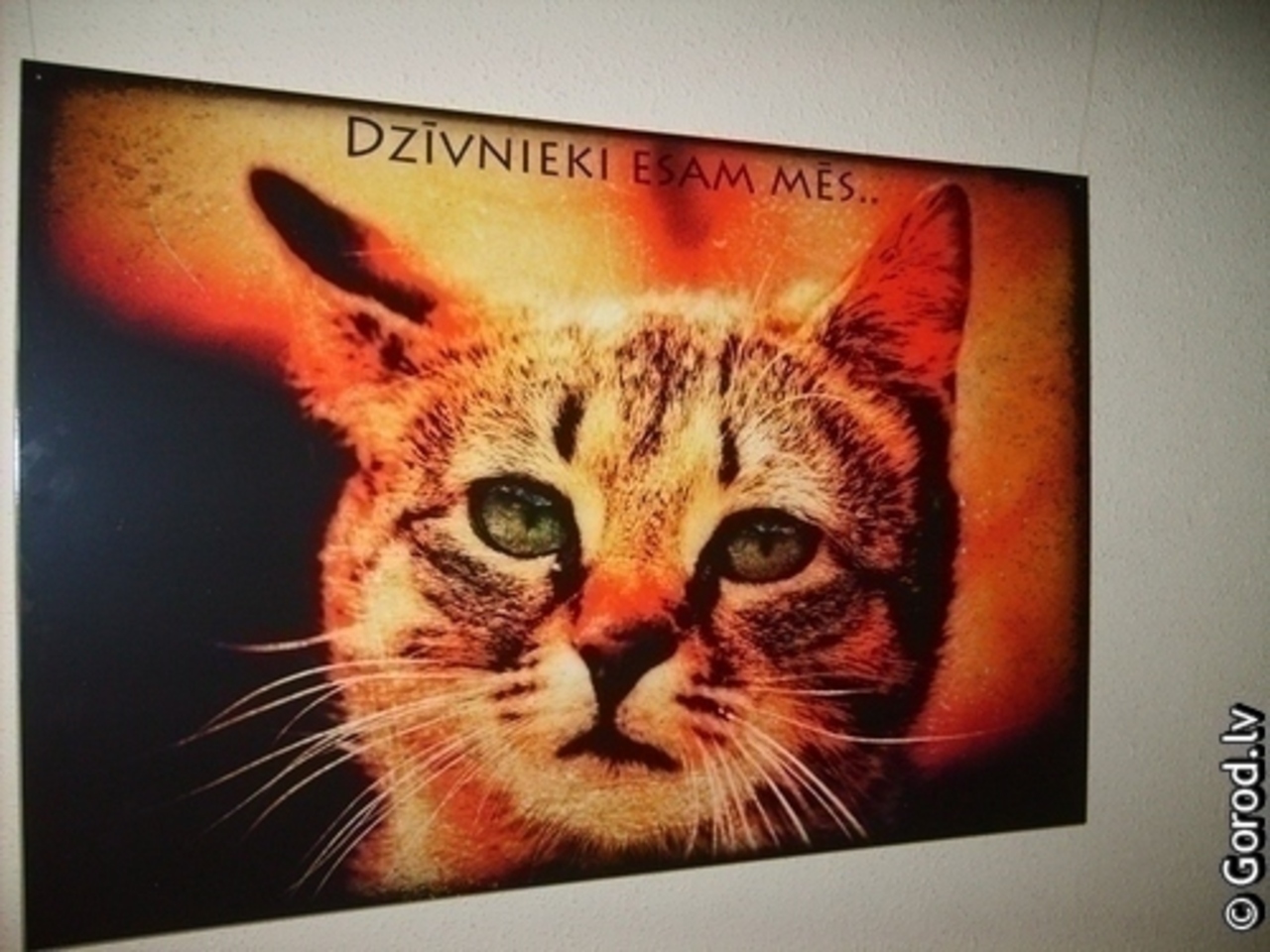 foto gorod.lv