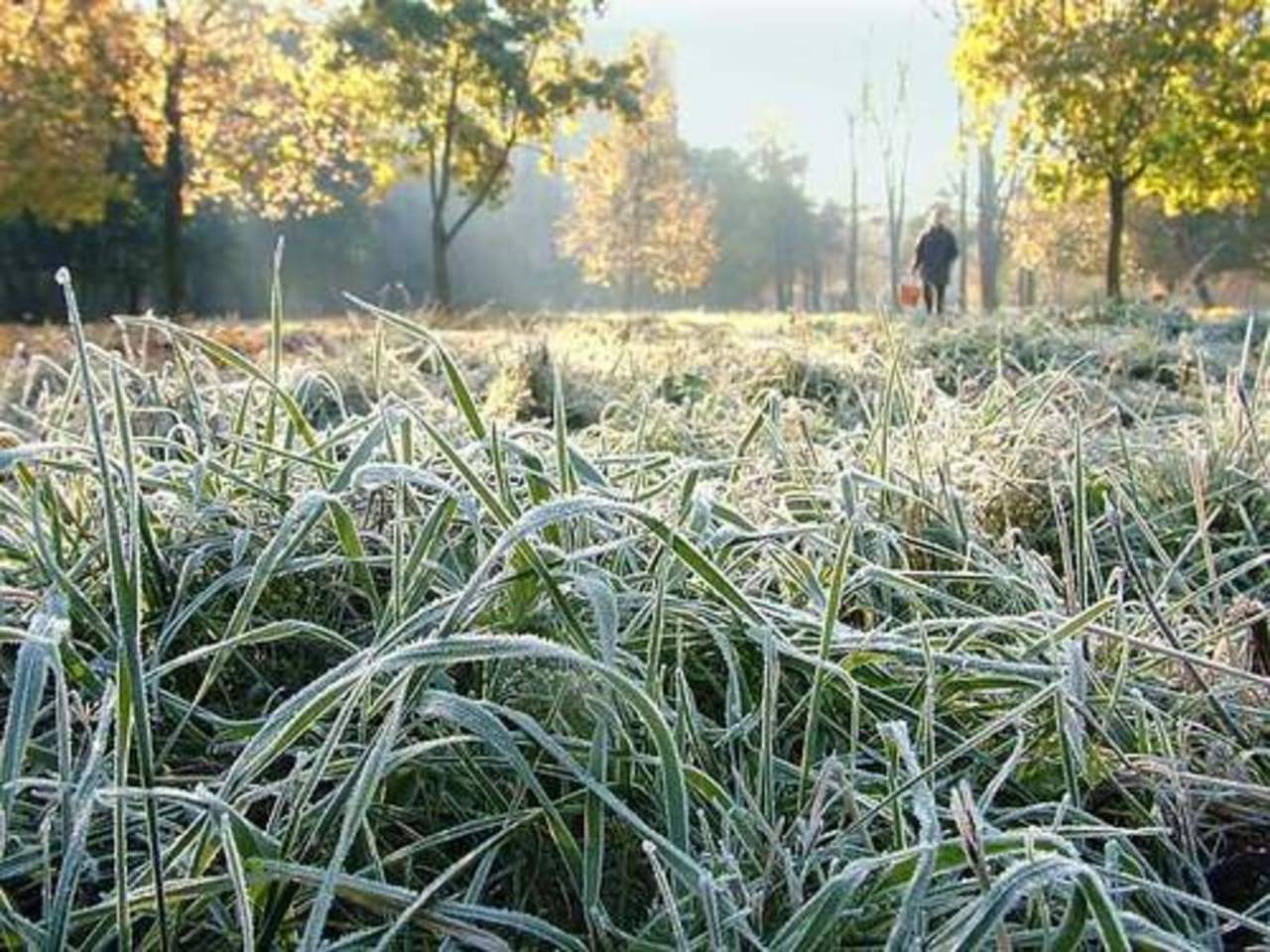 foto timashevsk-zt.ru
