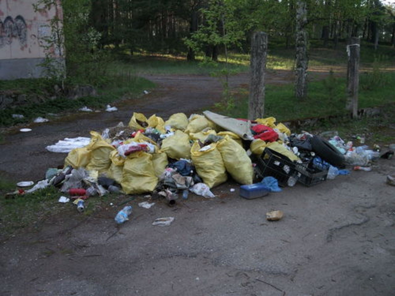 lasītāja foto