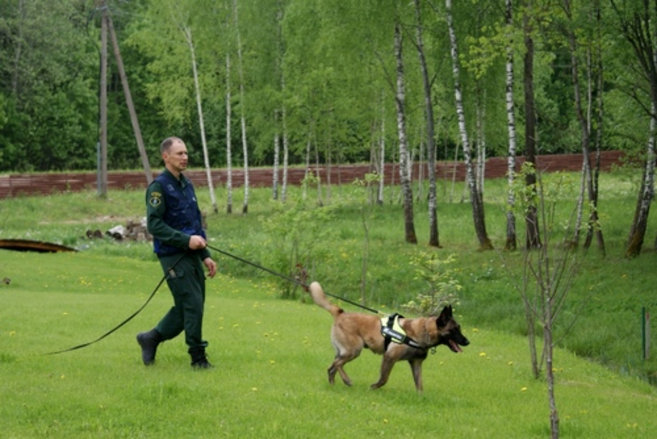 publicitātes foto
