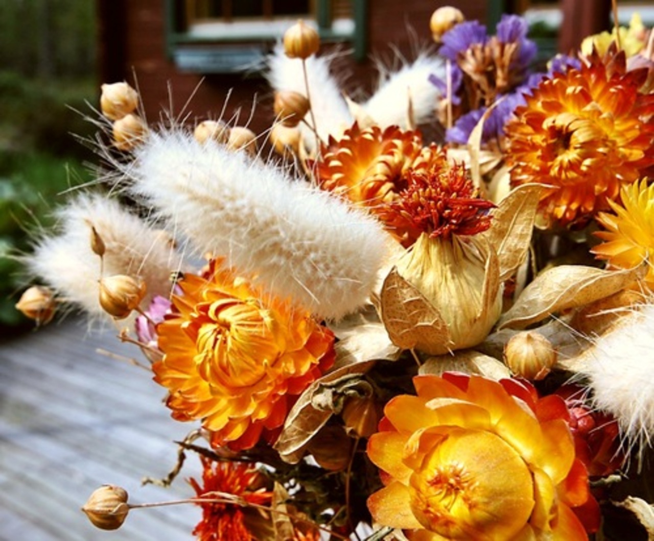 фото flowers.cveti-sadi.ru