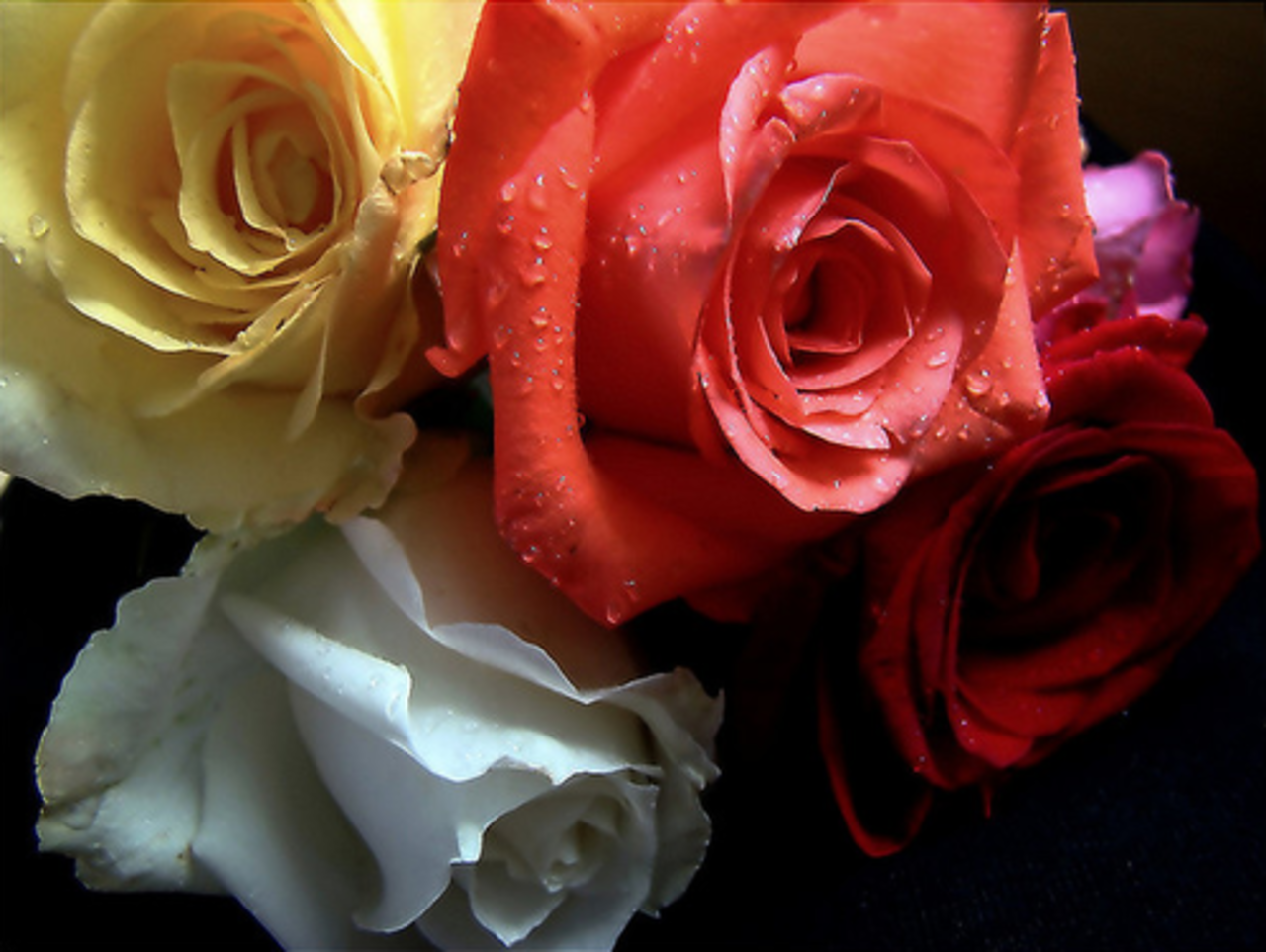 фото rate1.com.ua